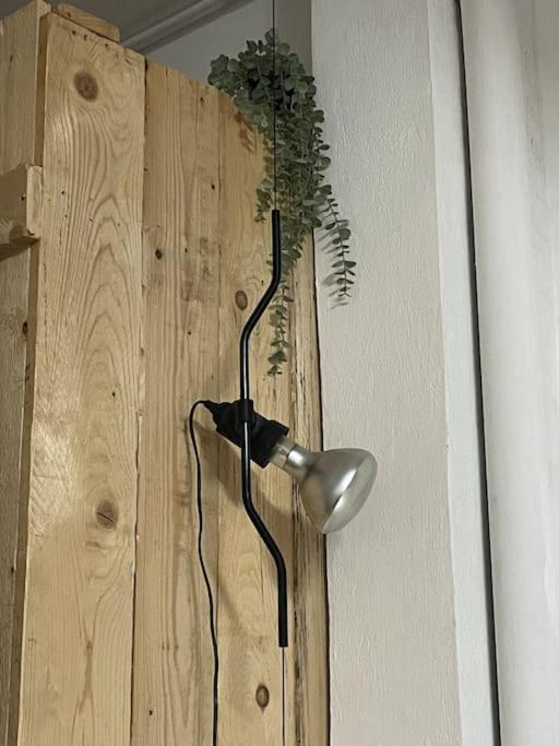 La Mareta Casa Nenoヴィラ エクステリア 写真